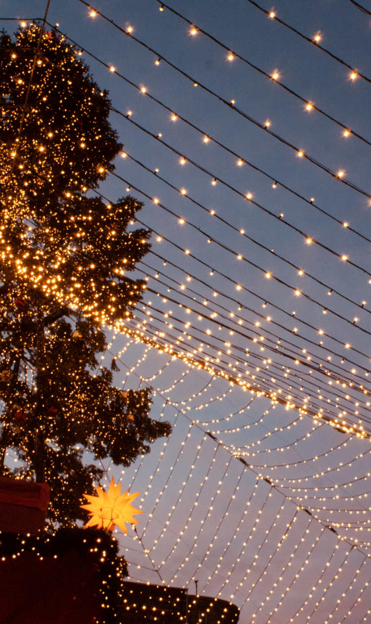 Christmas Holidays