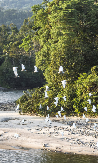 Wildlife Holidays