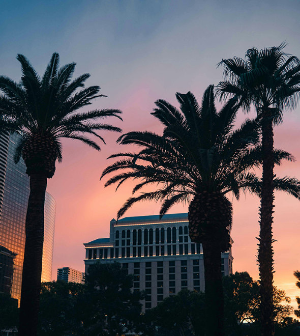 24 Hours In Las Vegas