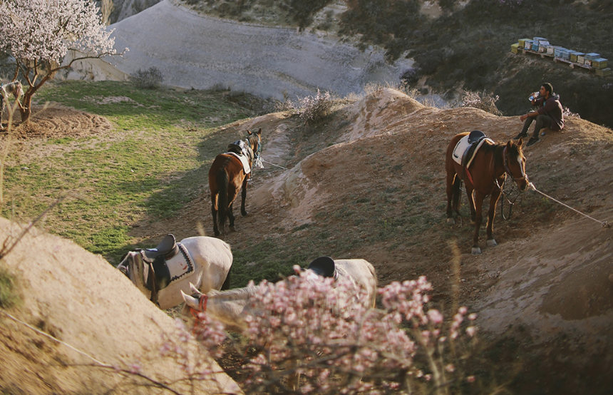 Ten Reasons You Should Go to Turkey Right Now