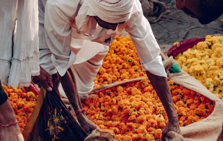 Top Places to Visit in Rajasthan