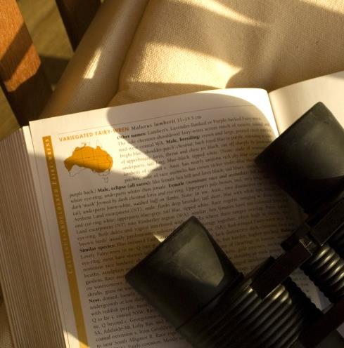 Best Books to Read Before a Holiday to Australia