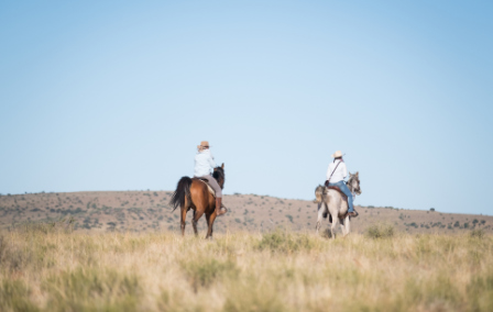 Best Botswana Horse Safaris