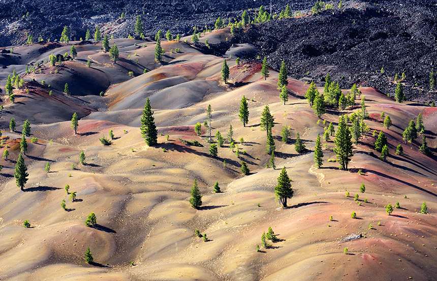 Best National Parks in California