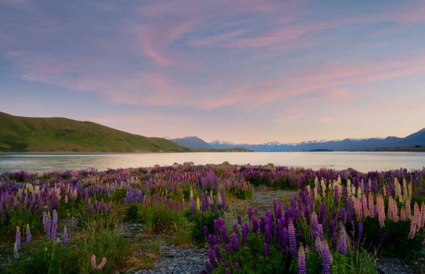 Unmissable Landscapes in New Zealand