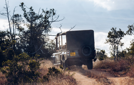 Just Back: Jamie’s Research Trip to Kenya