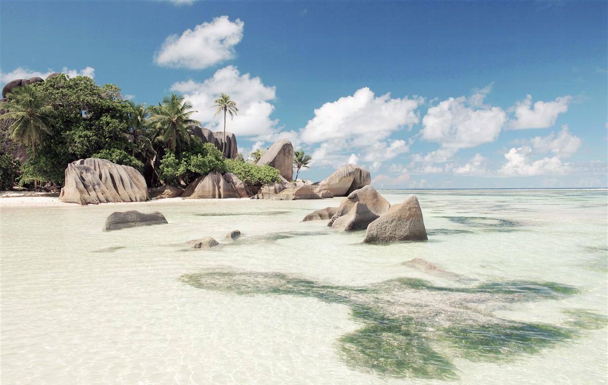 Things to do in the Seychelles