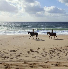 The Best Corsica Beaches