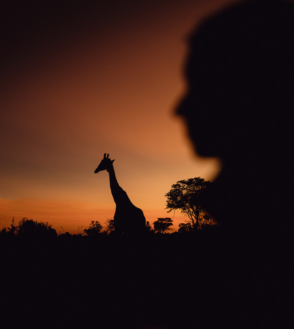 Top 4 Best Game Reserves in South Africa