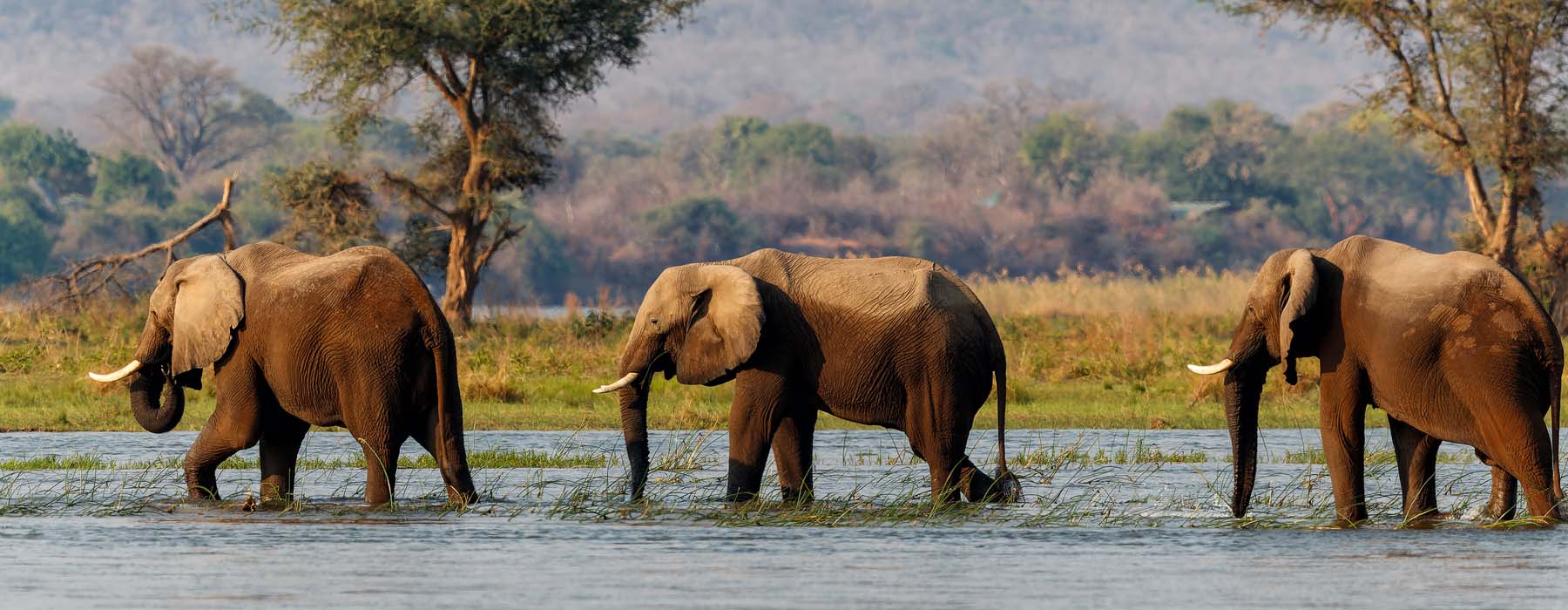 Africa Holidays