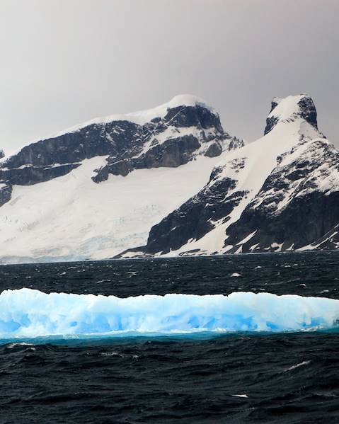 One Country Antarctica