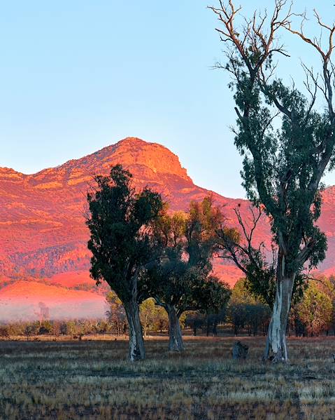 One Country Australia – New Zealand – Melbourne – Tasmania – Adelaide – Flinders Ranges – Auckland – Wellington – Abel Tasman – Queenstown