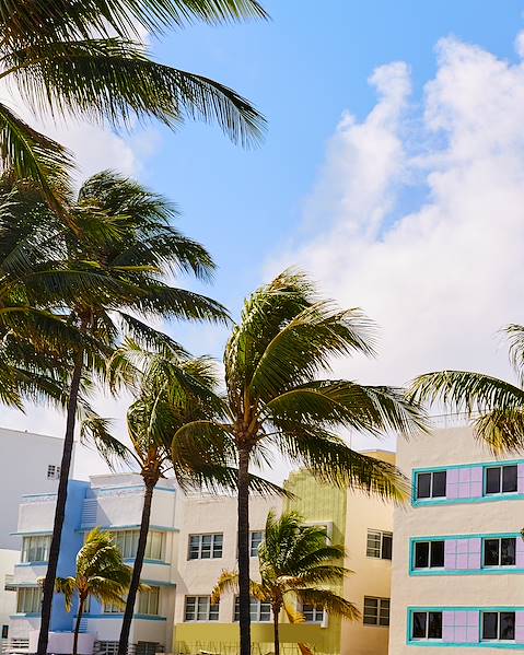 One Country USA – Belize – Miami – San Ignacio – Hopkins