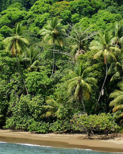 One Country Osa Peninsula & Golfo Dulce