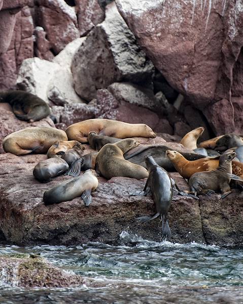 One Country Galapagos Archipelago