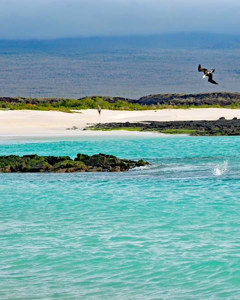 One Country Galapagos Archipelago ,Quito and The Highlands