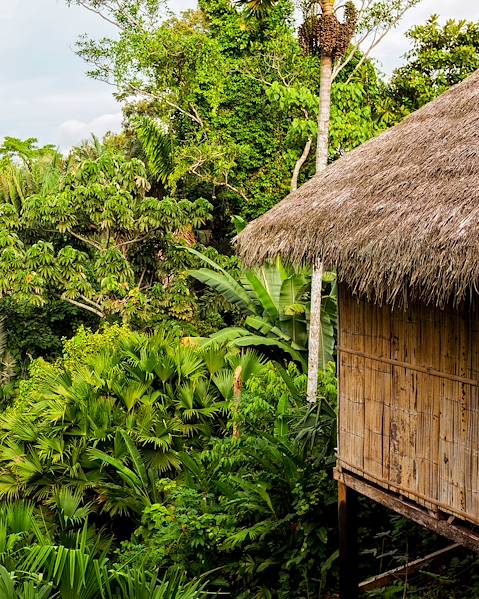 One Country The Amazon ,Quito and The Highlands ,Galapagos Archipelago