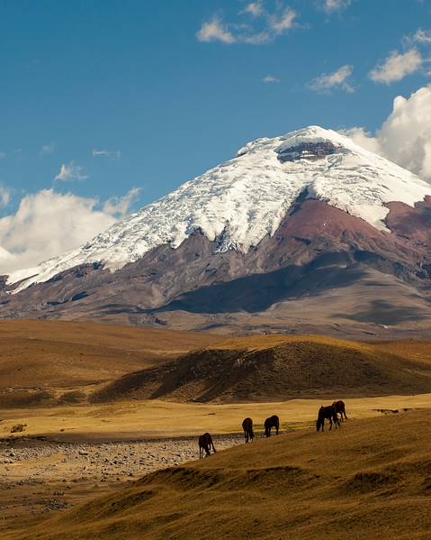 One Country Otavalo - Quito - Cotopaxi National Park - Misahualli (Amazon) - Manta - La Rinconada
