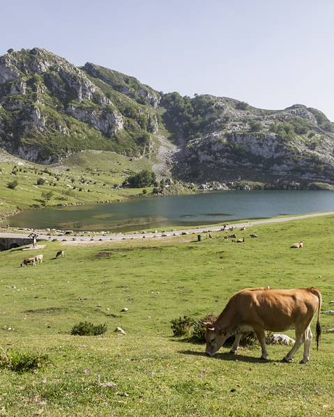 One Country San Sebastian - Bilbao - Picos de Europa - Santiago de Compostela - Porto - Douro Valley
