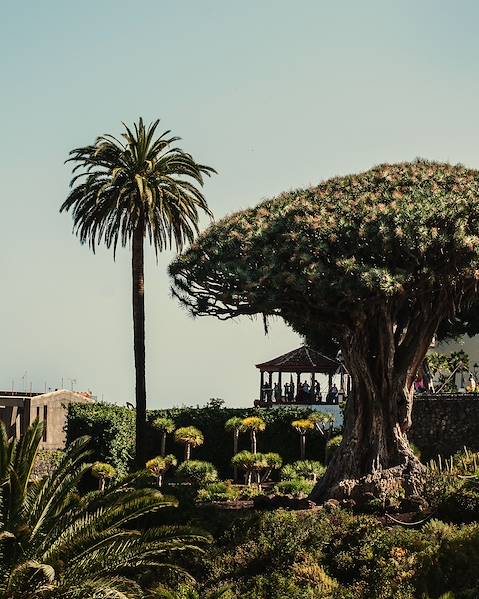 One Country Tenerife - La Gomera - Tenerife
