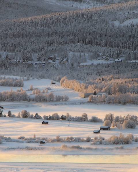One Country Finland