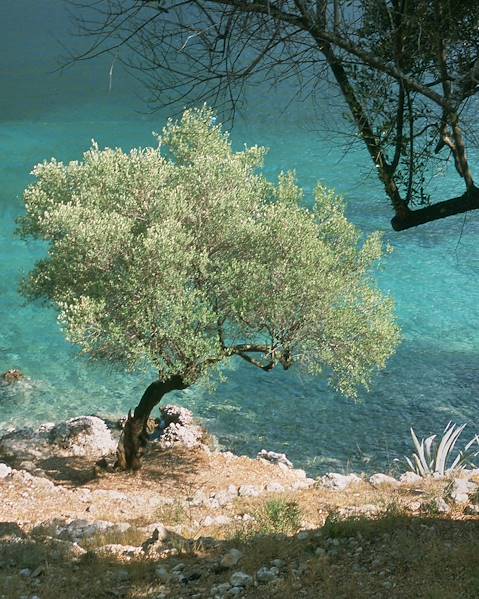 One Country Greece – Leivathos – Vathy – Argostoli
