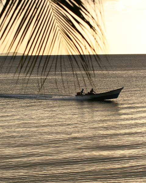 One Country Guyana