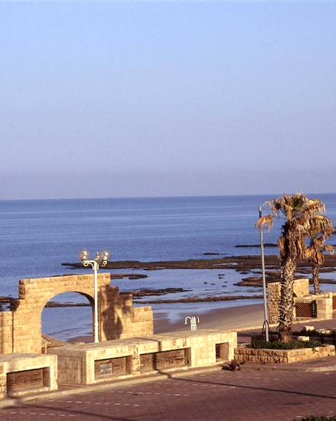 One Country Israel