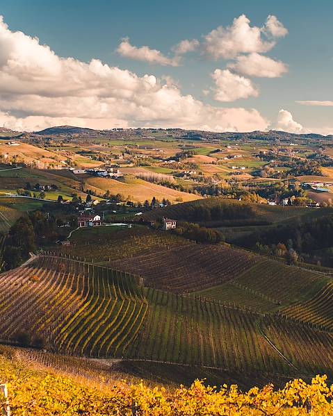 One Country Italy – Turin – Piedmont