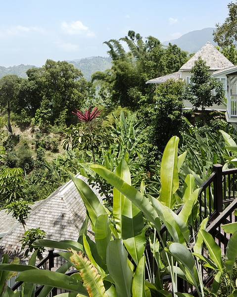 One Country Jamaica