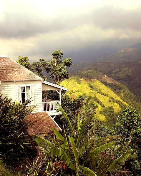 One Country Jamaica