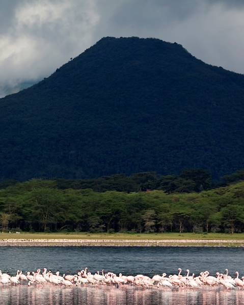 One Country Kenya – Lake Naivasha – Maasai Mara – Ukunda – Diani – Nairobi