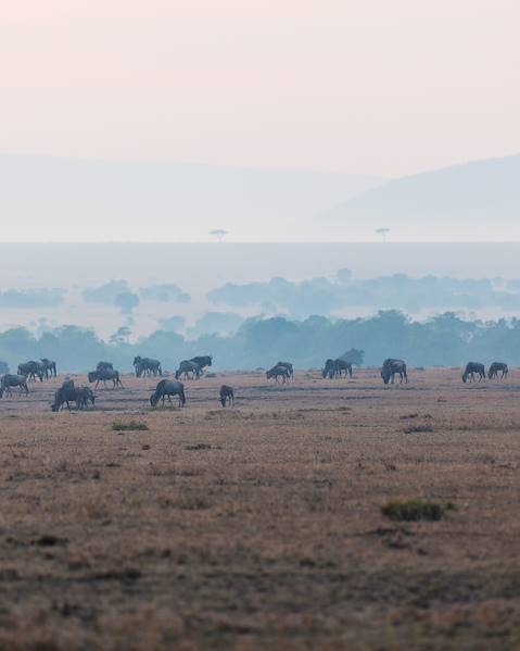One Country Kenya – Nairobi – Mount Kenya – Lake Nakuru – Masai Mara