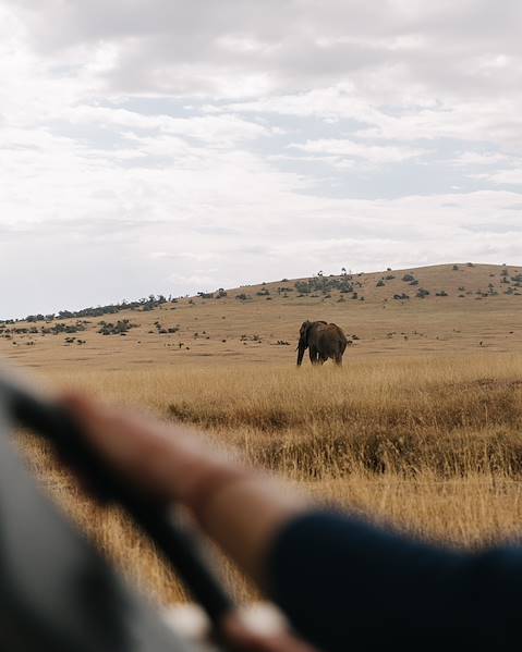 One Country Laikipia,The Kenyan Coast,The Masai Mara