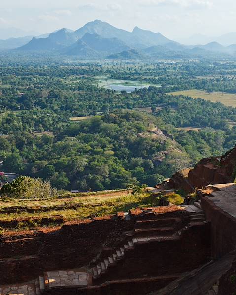 One Country Sri Lanka – Negombo – Wilpattu National Park – Dambulla – Madulkelle – Gal Oya National Park – Ahangama
