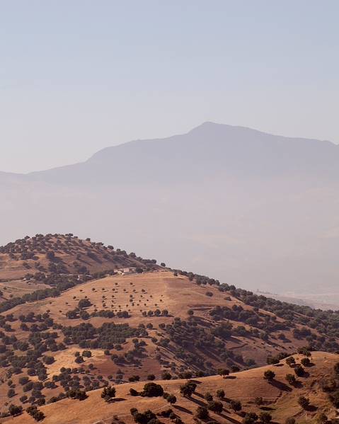 One Country Morocco - Fez - Chefchaouen - Tangier
