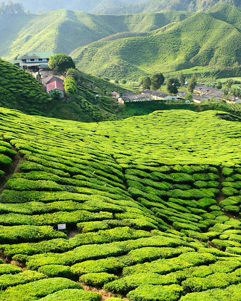 One Country Malaysia - Kuala Lumpur - West Coast