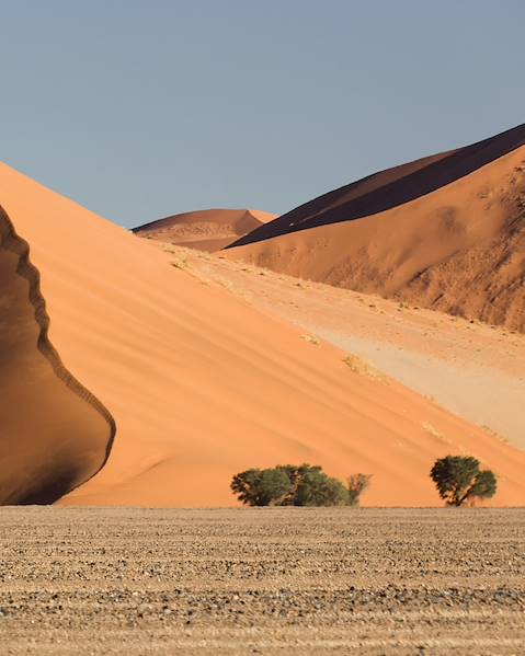 One Country Etosha & Damaraland,Skeleton Coast and the Kunene River,The Namib Desert