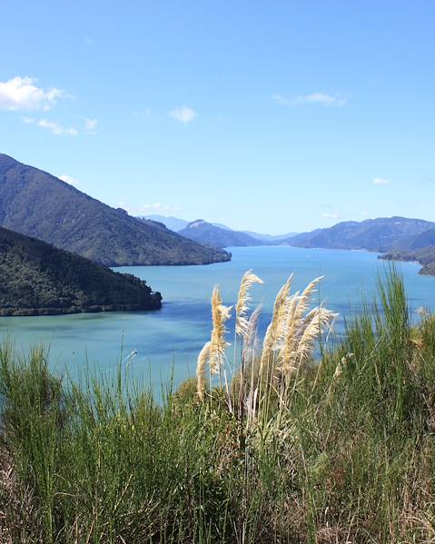 One Country Rotorua & Taupo,Auckland & Waiheke Island,Queenstown & Wanaka,Wellington & Martinborough,Blenheim & Marlborough