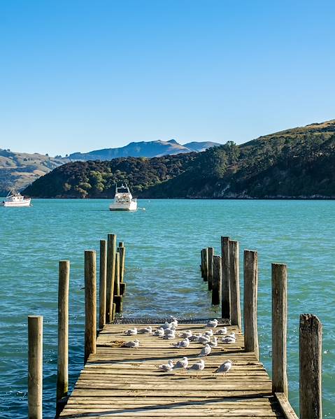 One Country New Zealand - South Island - North Island - Fiji