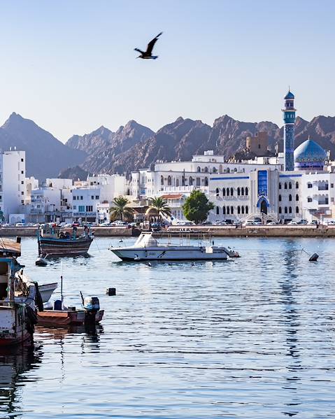 One Country Muscat - Nizwa - Wahiba Desert - Zanzibar - Stone Town