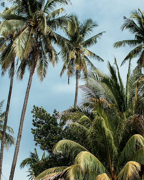 One Country Philippines - Manila - Palawan