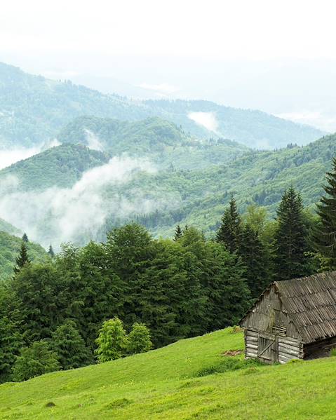 One Country Transylvania