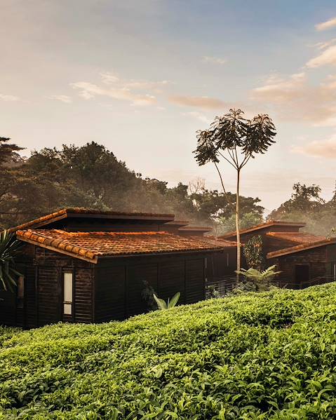 One Country RWANDA - KIGALI - NYUNGWE FOREST - VOLCANO NATIONAL PARK