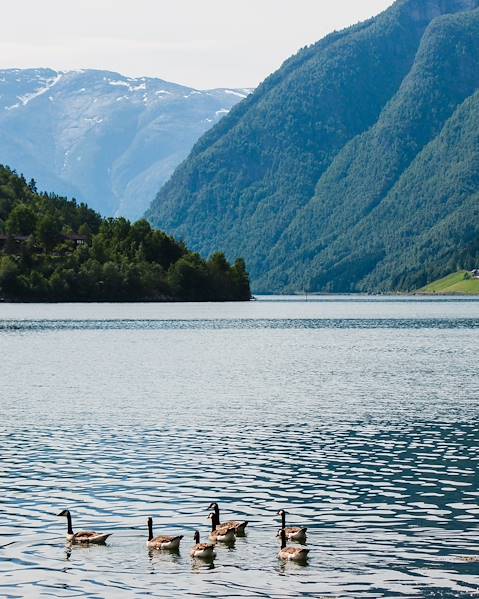 One Country Sweden – Norway – Gothenburg – Oslo – Alesund – Northern Fjords – Lofoten Islands