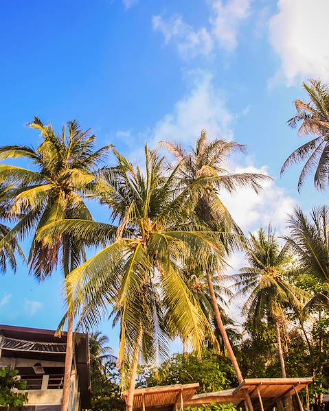 One Country Thailand - Chiang Mai - Bangkok - Koh Samui