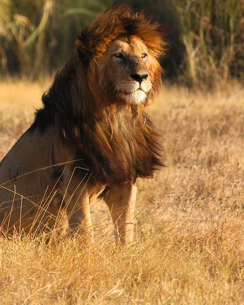 One Country Tanzania – Tarangire National Park – Lake Manyara – Ngorongoro Crater – The Serengeti