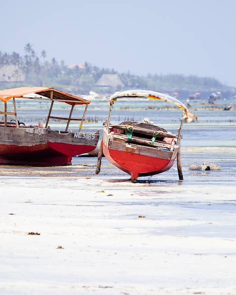 One Country Tanzania – Katavi National Park – Katavi – Mahale