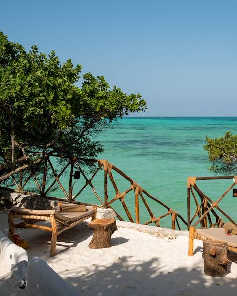 One Country Tanzania – Ruaha & Nyerere National Parks – Rufiji – River Delta – Zanzibar