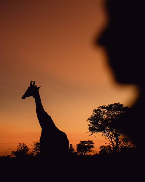 One Country Tanzania – Nyere National Park – Fanjove Island